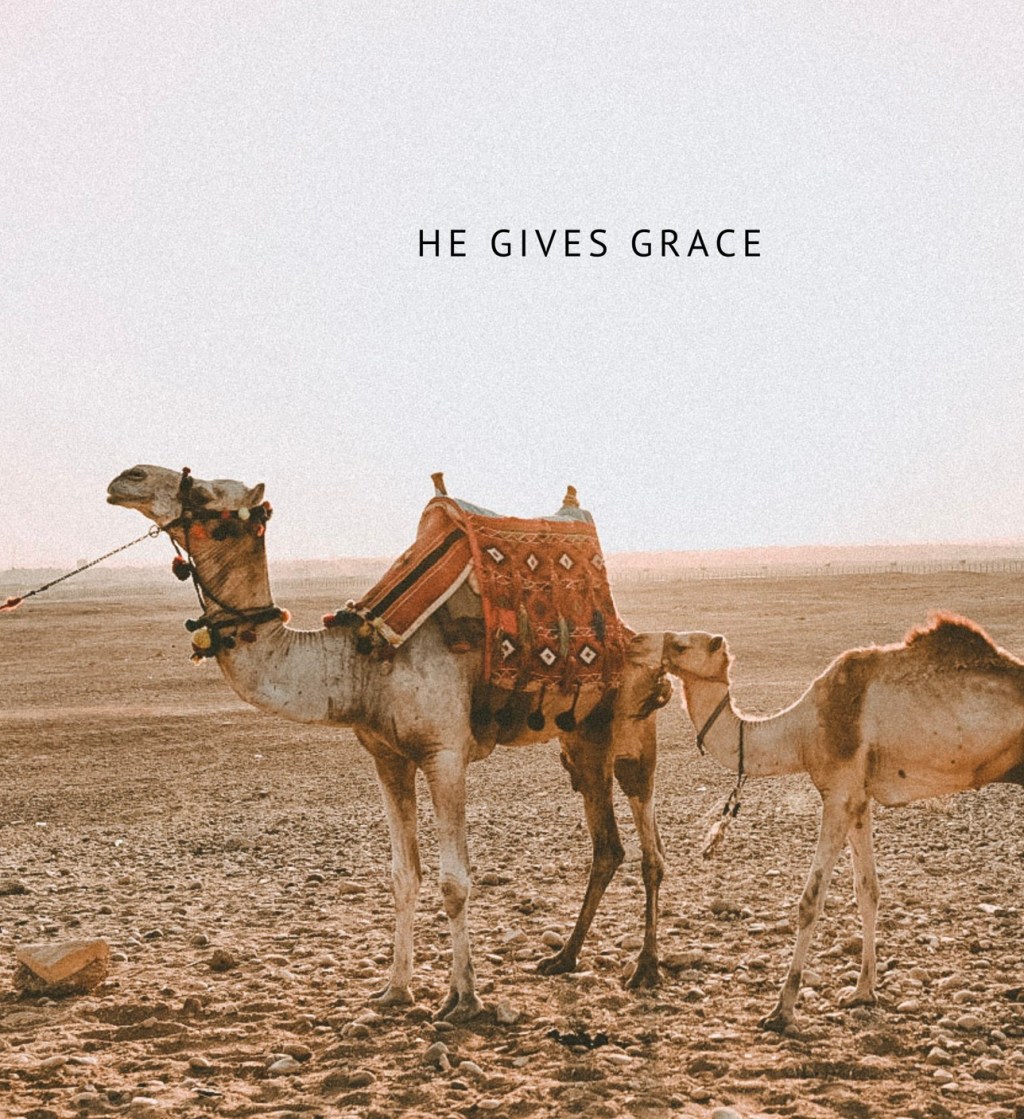 In the Wilderness He Gives Grace